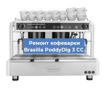 Ремонт кофемолки на кофемашине Brasilia PoddyDig 3 CC в Нижнем Новгороде